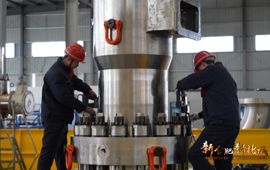 Reactor Circulation Pumps (Ebullated pump) produced by Hefei Huasheng Pumps & Valves